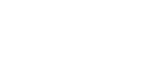 EINS Logo